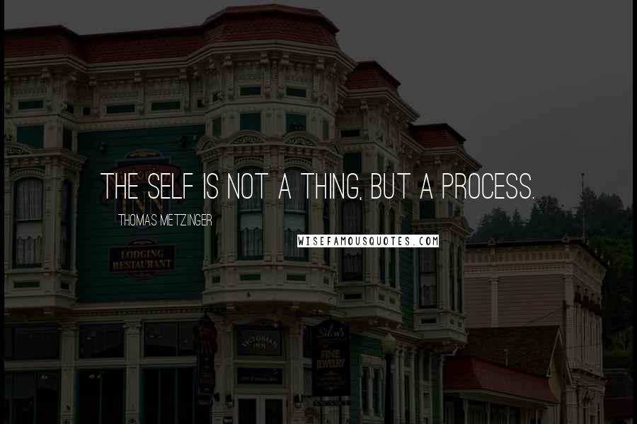 Thomas Metzinger Quotes: The self is not a thing, but a process.