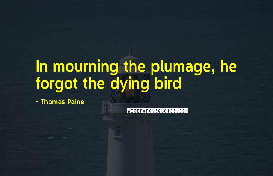 Thomas Paine Quotes: In mourning the plumage, he forgot the dying bird