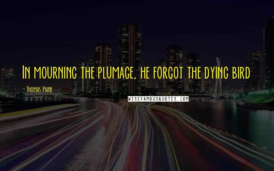 Thomas Paine Quotes: In mourning the plumage, he forgot the dying bird