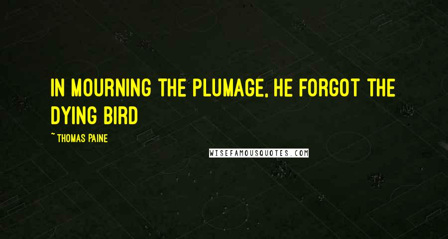 Thomas Paine Quotes: In mourning the plumage, he forgot the dying bird