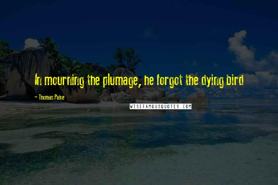 Thomas Paine Quotes: In mourning the plumage, he forgot the dying bird