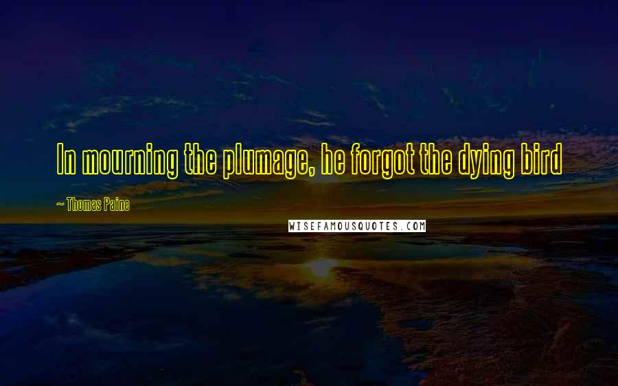 Thomas Paine Quotes: In mourning the plumage, he forgot the dying bird