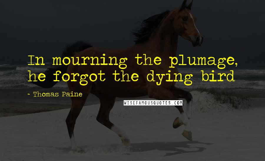 Thomas Paine Quotes: In mourning the plumage, he forgot the dying bird