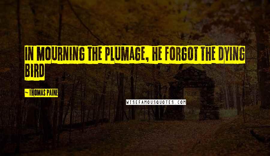 Thomas Paine Quotes: In mourning the plumage, he forgot the dying bird