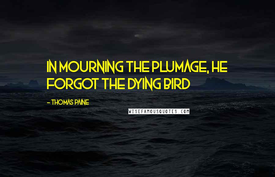 Thomas Paine Quotes: In mourning the plumage, he forgot the dying bird