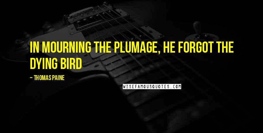 Thomas Paine Quotes: In mourning the plumage, he forgot the dying bird