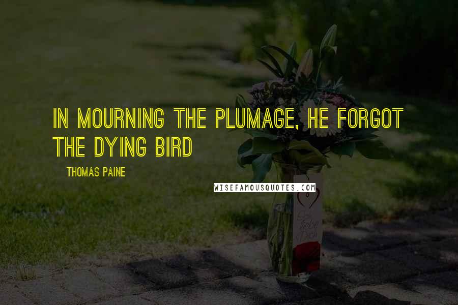 Thomas Paine Quotes: In mourning the plumage, he forgot the dying bird