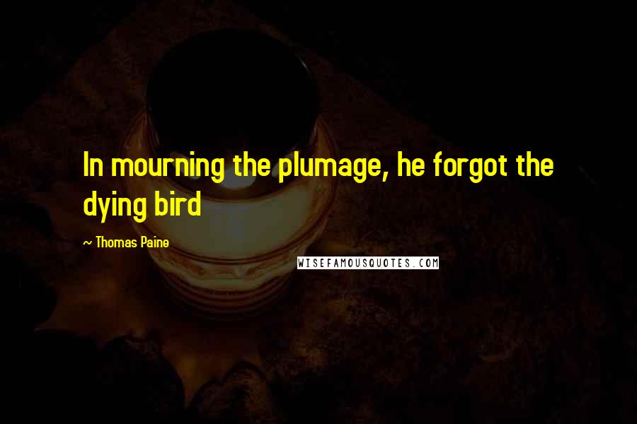 Thomas Paine Quotes: In mourning the plumage, he forgot the dying bird