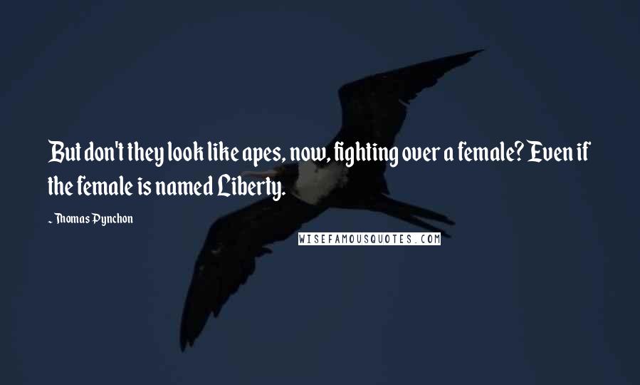 Thomas Pynchon Quotes: But don't they look like apes, now, fighting over a female? Even if the female is named Liberty.