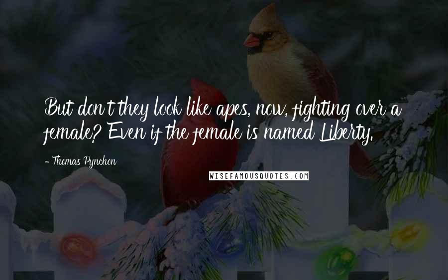 Thomas Pynchon Quotes: But don't they look like apes, now, fighting over a female? Even if the female is named Liberty.