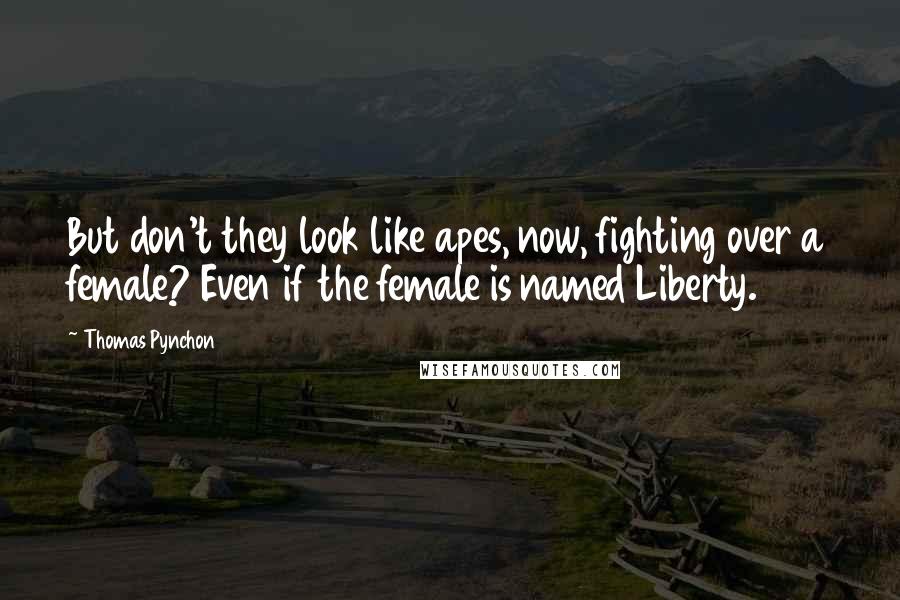 Thomas Pynchon Quotes: But don't they look like apes, now, fighting over a female? Even if the female is named Liberty.