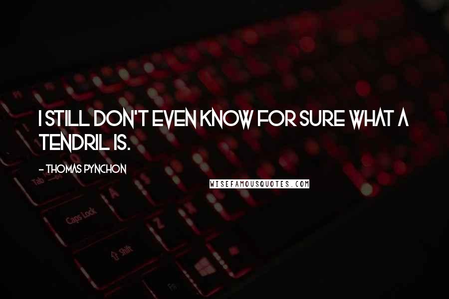 Thomas Pynchon Quotes: I still don't even know for sure what a tendril is.