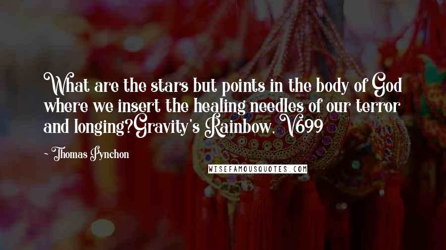 Thomas Pynchon Quotes: What are the stars but points in the body of God where we insert the healing needles of our terror and longing?Gravity's Rainbow, V699