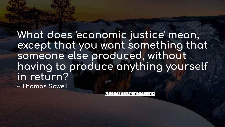 Thomas Sowell Quotes: What does 'economic justice' mean, except that you want something that someone else produced, without having to produce anything yourself in return?