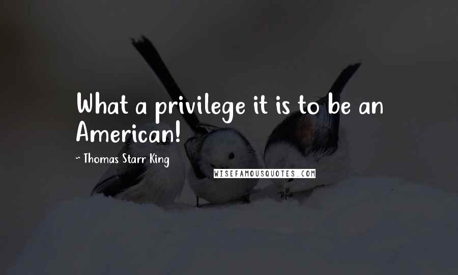 Thomas Starr King Quotes: What a privilege it is to be an American!