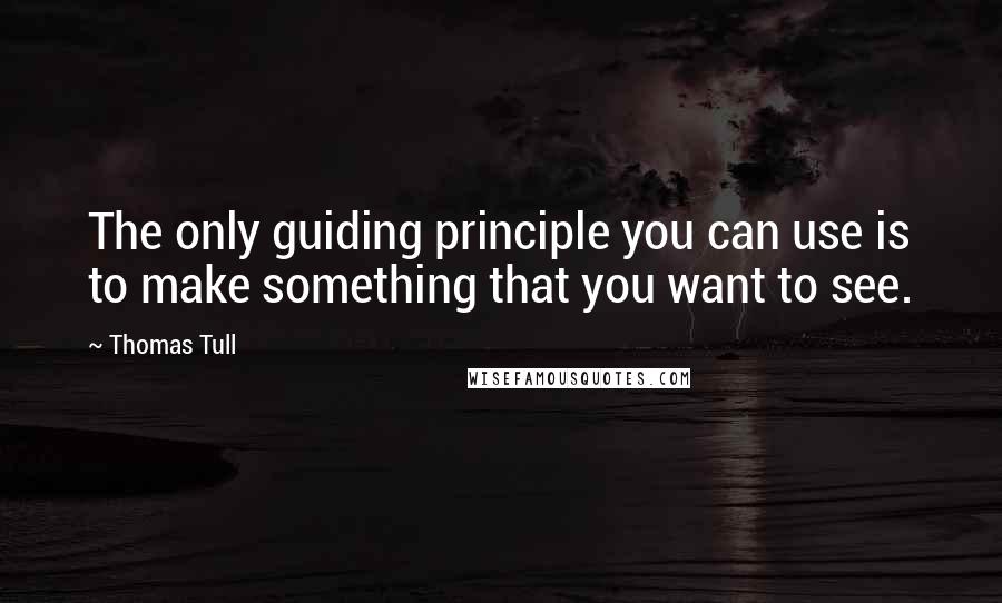 Thomas Tull Quotes: The only guiding principle you can use is to make something that you want to see.