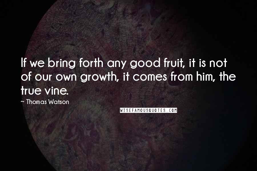 Thomas Watson Quotes: If we bring forth any good fruit, it is not of our own growth, it comes from him, the true vine.