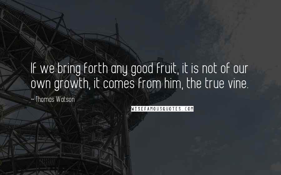 Thomas Watson Quotes: If we bring forth any good fruit, it is not of our own growth, it comes from him, the true vine.