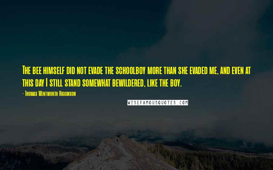 Thomas Wentworth Higginson Quotes: The bee himself did not evade the schoolboy more than she evaded me, and even at this day I still stand somewhat bewildered, like the boy.