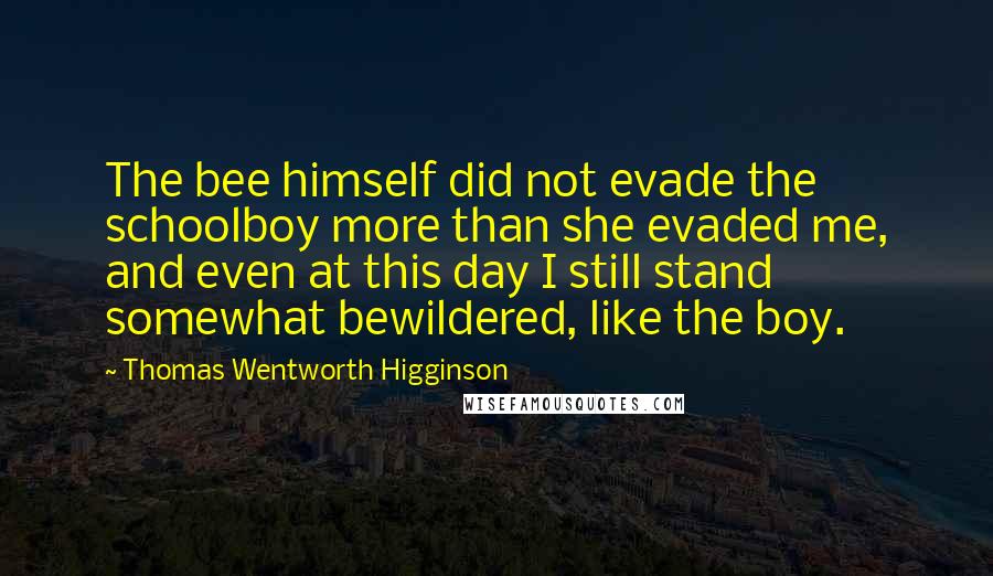 Thomas Wentworth Higginson Quotes: The bee himself did not evade the schoolboy more than she evaded me, and even at this day I still stand somewhat bewildered, like the boy.