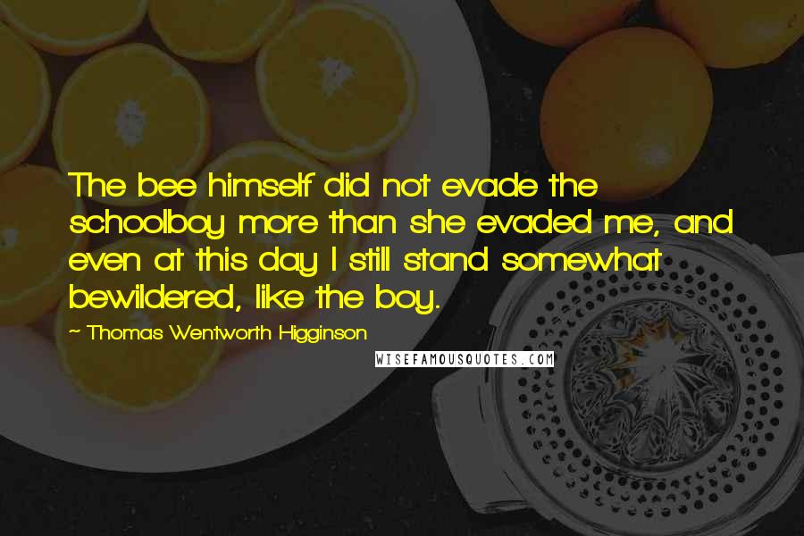 Thomas Wentworth Higginson Quotes: The bee himself did not evade the schoolboy more than she evaded me, and even at this day I still stand somewhat bewildered, like the boy.