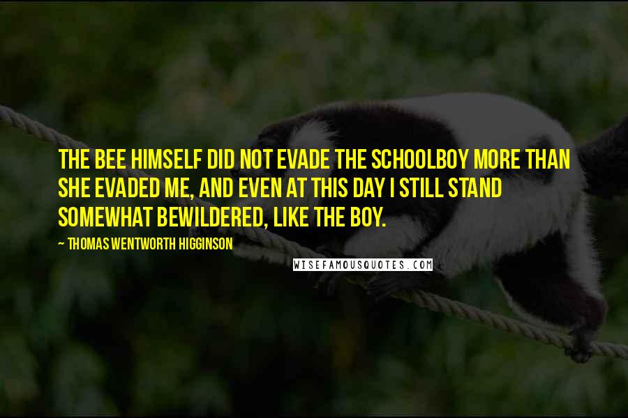 Thomas Wentworth Higginson Quotes: The bee himself did not evade the schoolboy more than she evaded me, and even at this day I still stand somewhat bewildered, like the boy.