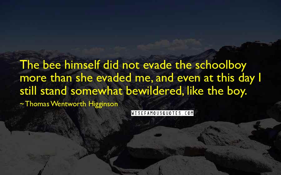 Thomas Wentworth Higginson Quotes: The bee himself did not evade the schoolboy more than she evaded me, and even at this day I still stand somewhat bewildered, like the boy.