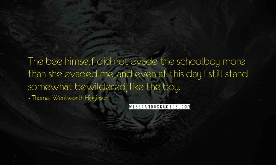 Thomas Wentworth Higginson Quotes: The bee himself did not evade the schoolboy more than she evaded me, and even at this day I still stand somewhat bewildered, like the boy.