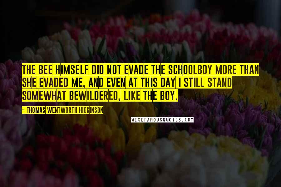 Thomas Wentworth Higginson Quotes: The bee himself did not evade the schoolboy more than she evaded me, and even at this day I still stand somewhat bewildered, like the boy.