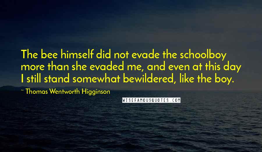 Thomas Wentworth Higginson Quotes: The bee himself did not evade the schoolboy more than she evaded me, and even at this day I still stand somewhat bewildered, like the boy.