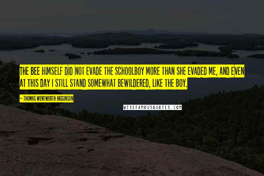 Thomas Wentworth Higginson Quotes: The bee himself did not evade the schoolboy more than she evaded me, and even at this day I still stand somewhat bewildered, like the boy.