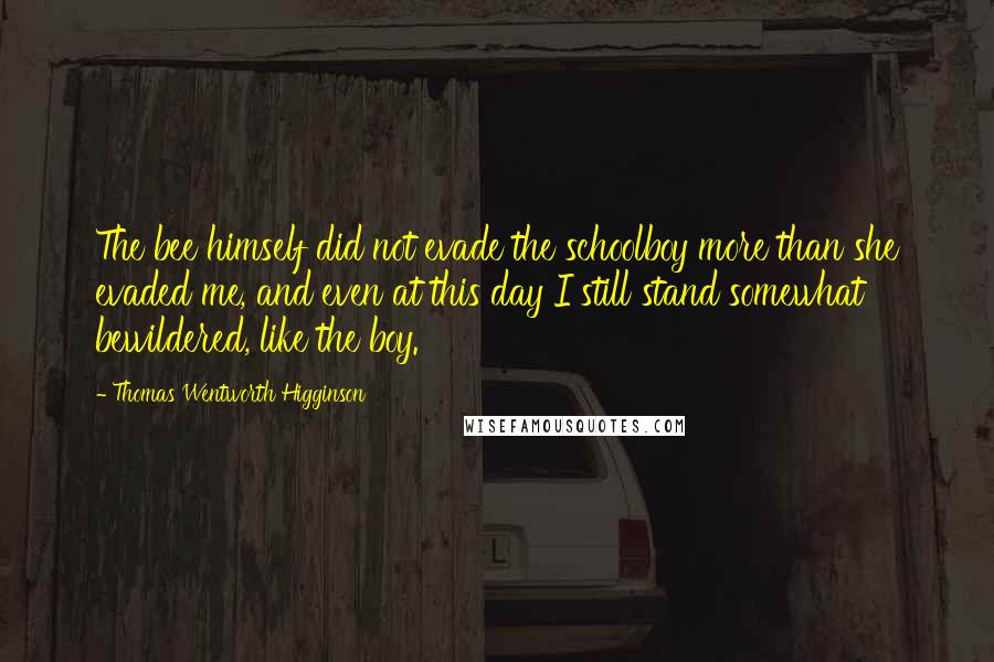 Thomas Wentworth Higginson Quotes: The bee himself did not evade the schoolboy more than she evaded me, and even at this day I still stand somewhat bewildered, like the boy.