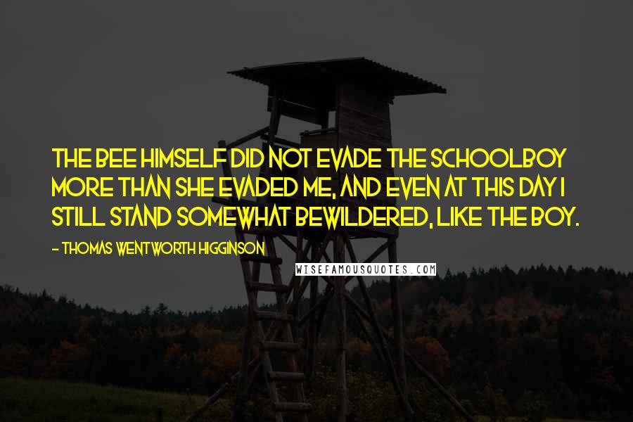 Thomas Wentworth Higginson Quotes: The bee himself did not evade the schoolboy more than she evaded me, and even at this day I still stand somewhat bewildered, like the boy.