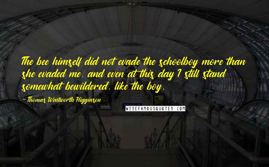 Thomas Wentworth Higginson Quotes: The bee himself did not evade the schoolboy more than she evaded me, and even at this day I still stand somewhat bewildered, like the boy.