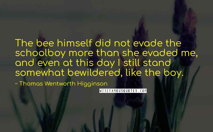 Thomas Wentworth Higginson Quotes: The bee himself did not evade the schoolboy more than she evaded me, and even at this day I still stand somewhat bewildered, like the boy.