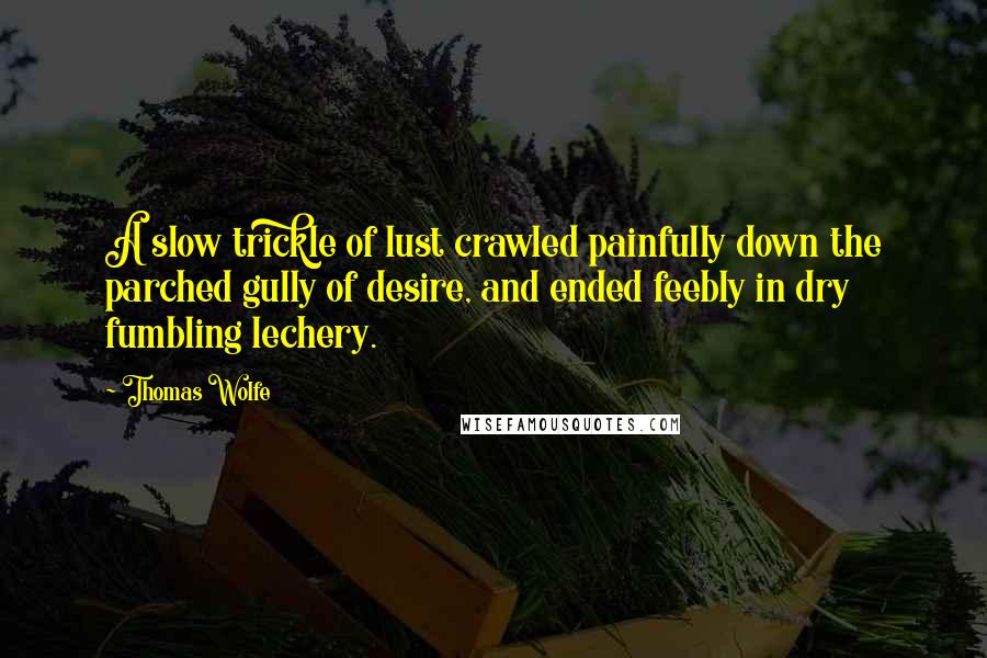 Thomas Wolfe Quotes: A slow trickle of lust crawled painfully down the parched gully of desire, and ended feebly in dry fumbling lechery.