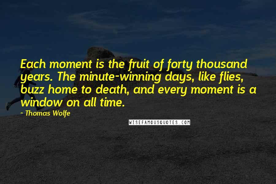 Thomas Wolfe Quotes: Each moment is the fruit of forty thousand years. The minute-winning days, like flies, buzz home to death, and every moment is a window on all time.