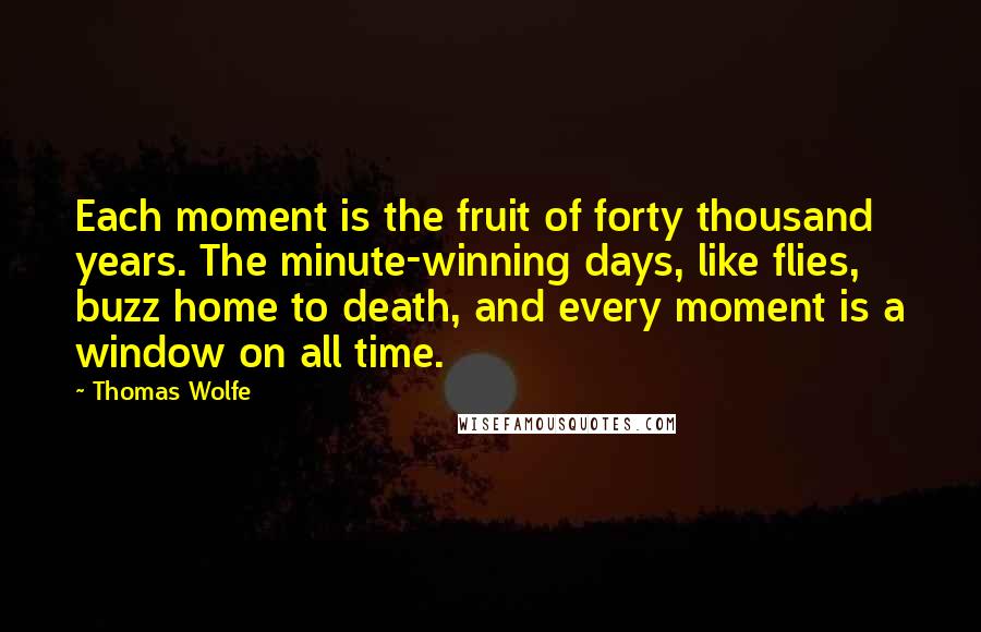 Thomas Wolfe Quotes: Each moment is the fruit of forty thousand years. The minute-winning days, like flies, buzz home to death, and every moment is a window on all time.