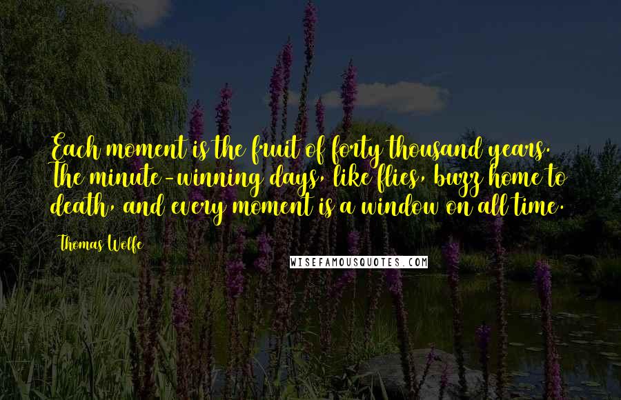 Thomas Wolfe Quotes: Each moment is the fruit of forty thousand years. The minute-winning days, like flies, buzz home to death, and every moment is a window on all time.