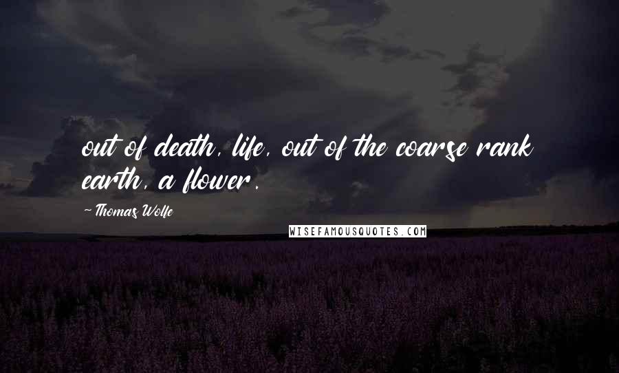 Thomas Wolfe Quotes: out of death, life, out of the coarse rank earth, a flower.