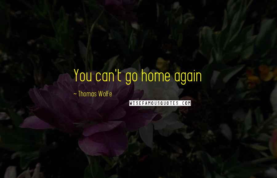 Thomas Wolfe Quotes: You can't go home again