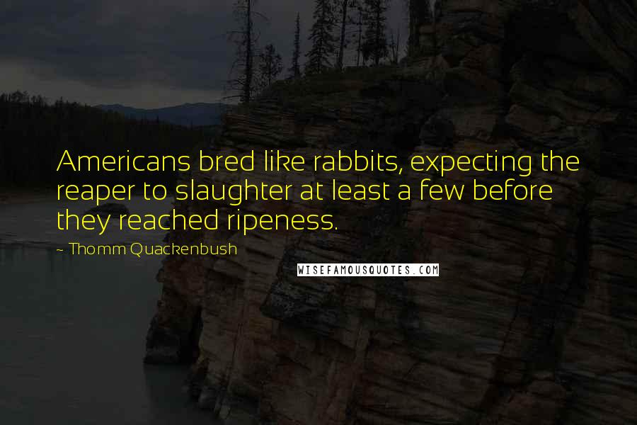 Thomm Quackenbush Quotes: Americans bred like rabbits, expecting the reaper to slaughter at least a few before they reached ripeness.