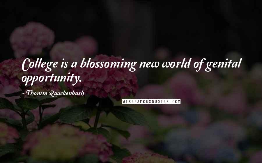 Thomm Quackenbush Quotes: College is a blossoming new world of genital opportunity.