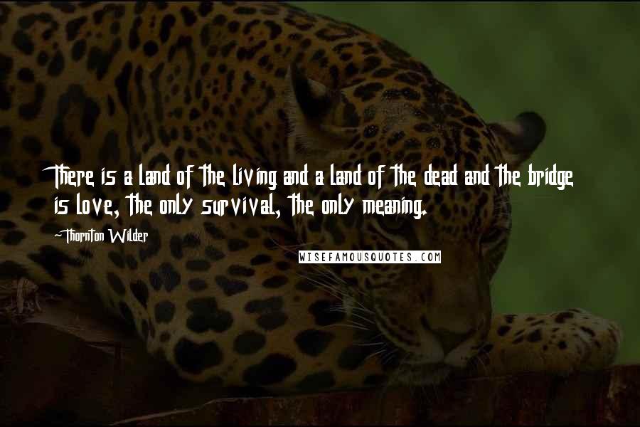 Thornton Wilder Quotes: There is a land of the living and a land of the dead and the bridge is love, the only survival, the only meaning.