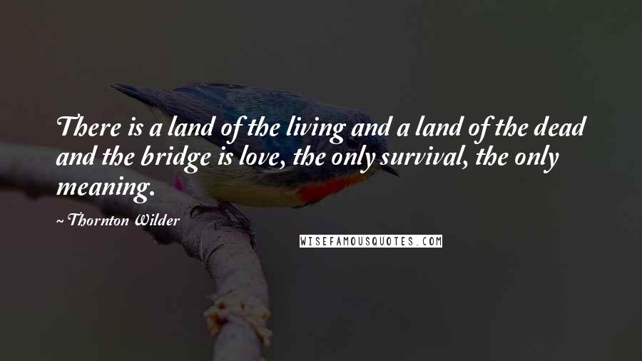 Thornton Wilder Quotes: There is a land of the living and a land of the dead and the bridge is love, the only survival, the only meaning.