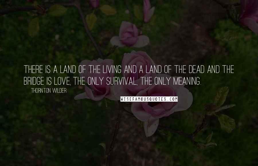 Thornton Wilder Quotes: There is a land of the living and a land of the dead and the bridge is love, the only survival, the only meaning.