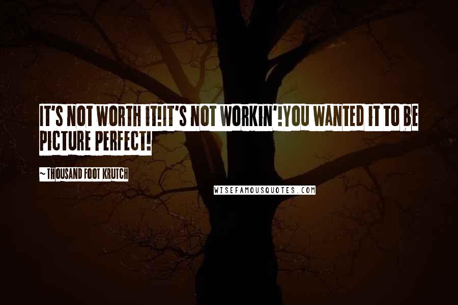 Thousand Foot Krutch Quotes: It's not worth it!It's not workin'!You wanted it to be picture perfect!