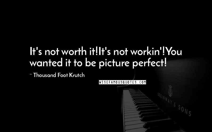 Thousand Foot Krutch Quotes: It's not worth it!It's not workin'!You wanted it to be picture perfect!