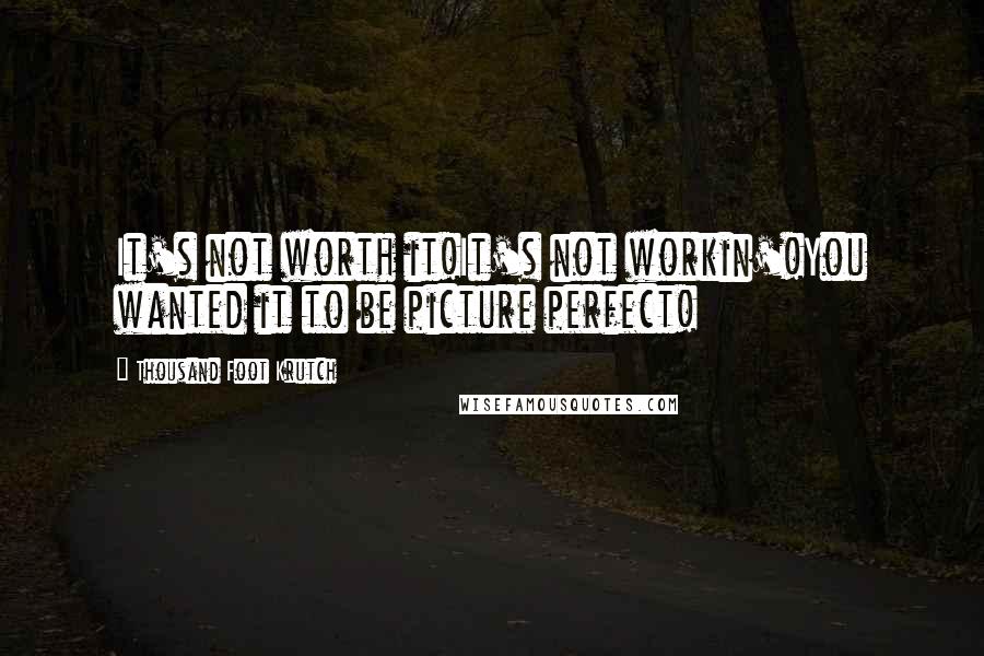 Thousand Foot Krutch Quotes: It's not worth it!It's not workin'!You wanted it to be picture perfect!