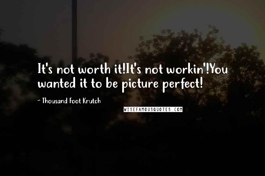 Thousand Foot Krutch Quotes: It's not worth it!It's not workin'!You wanted it to be picture perfect!